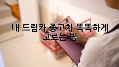 내 드림카✨ 중고차, 똑똑하게 고르는 법! 🚗💨